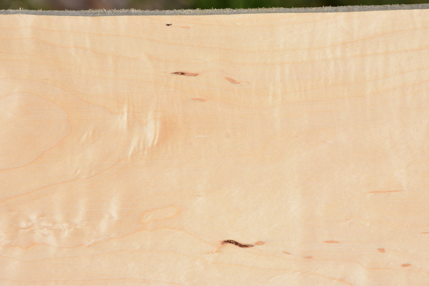 Carina Coffee Table